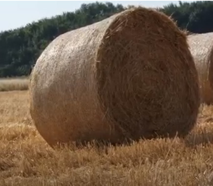 High-tech Straw Rope Applied to Modern Agricutural - A Product of Siam Brothers Vietnam